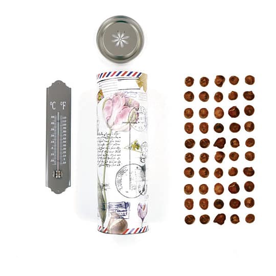 Zwiebel Hülse XL met 50 Zwiebeln und thermometer