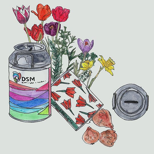 milk can with flower bulbs