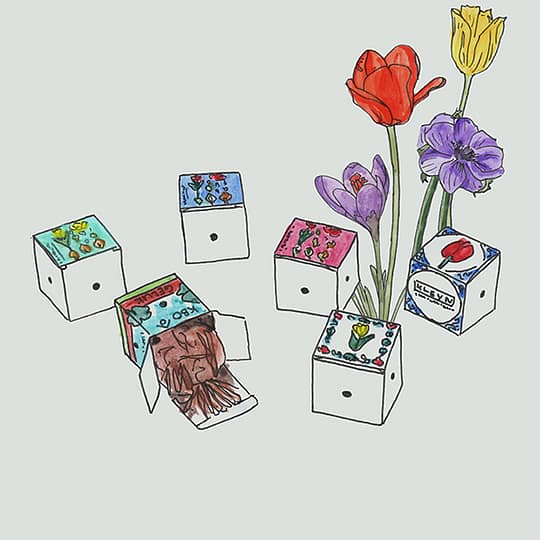 mini flower bulb box