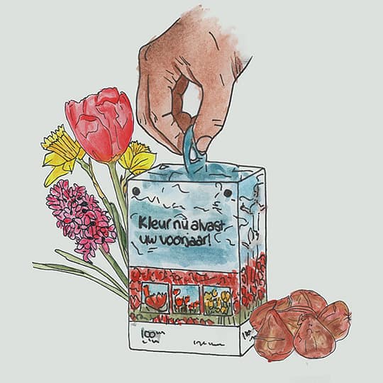 flower bulb box own design