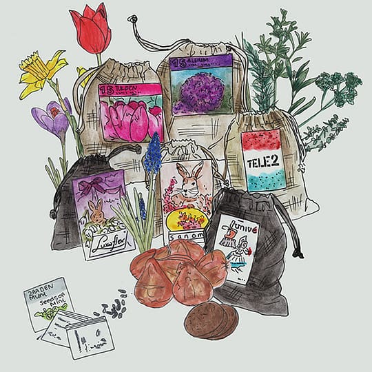 linen bags with flower bulbs