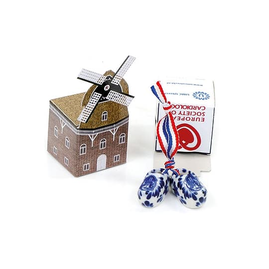 Windmill delft blue shoes