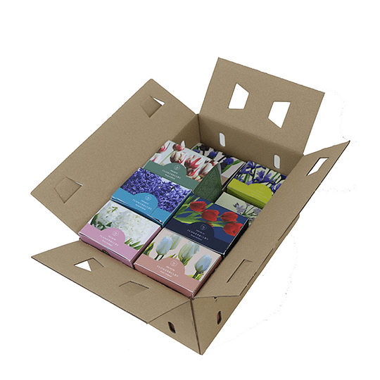 Flower bulb packet Red-White-Blue