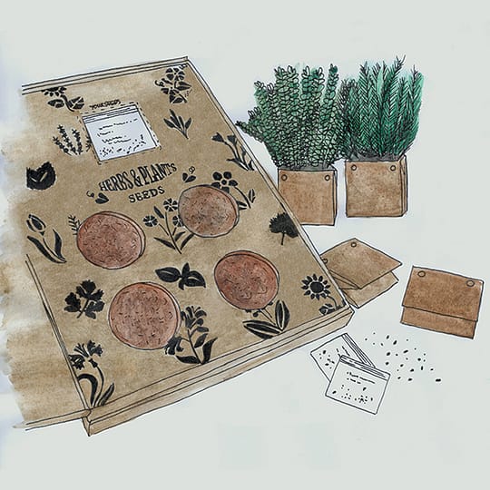 herb grow kit letterbox