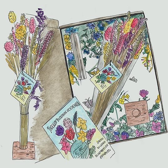 dried flowers with vase