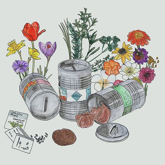 piggy bank oil barrel with flower bulbs