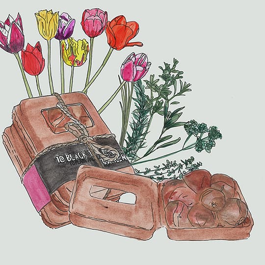 eco vensterdoosje bloembollen