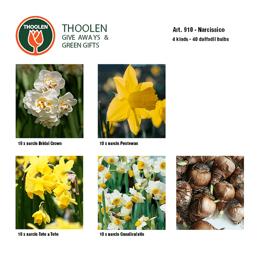 bloembollenpakket narcissico