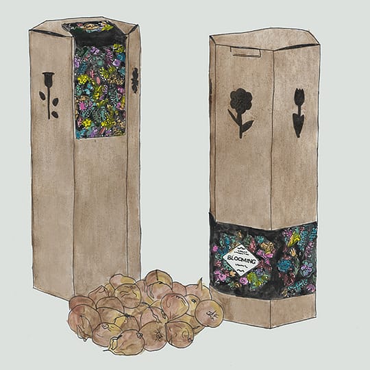 heaxgon bloembollenkoker