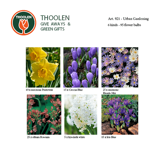 bloembollenpakket urban gardening