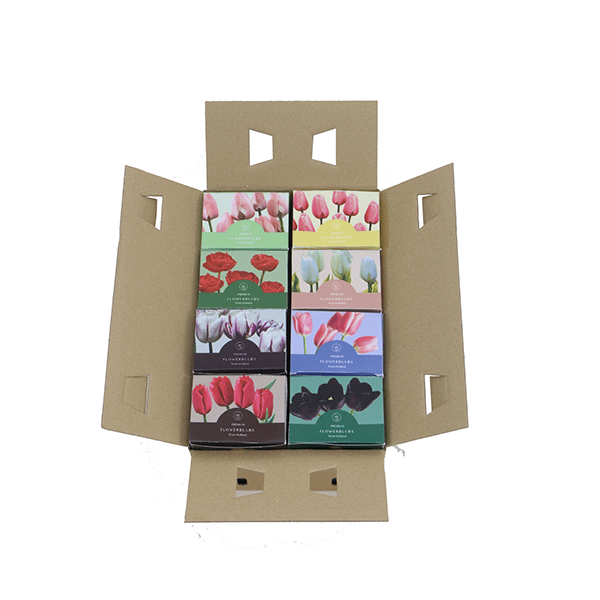 Blumenzwiebelpaket Exclusiva – 96 Tulpen für den Garten – Bild 3