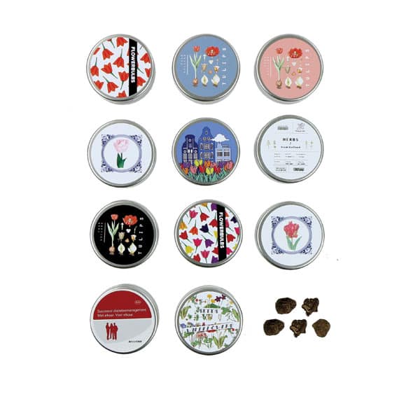 Round tin with flower bulbs