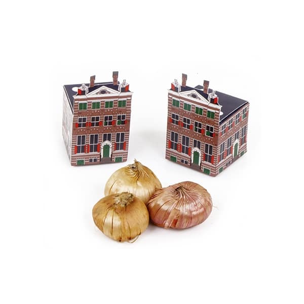 Rembrandt house Mini