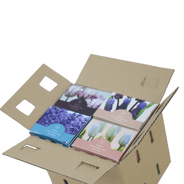Bloembollenpakket Delfts Blauw - Afbeelding 5