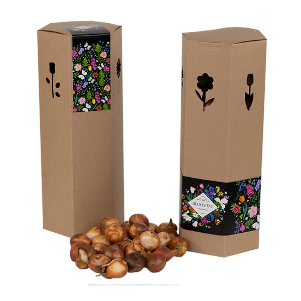 hexagondoos met bloembollen